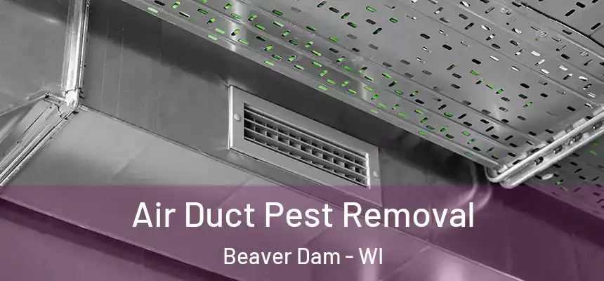  Air Duct Pest Removal Beaver Dam - WI