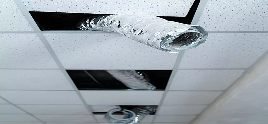 Affordable HVAC Sanitizing After Pest Removal in Beaver Dam