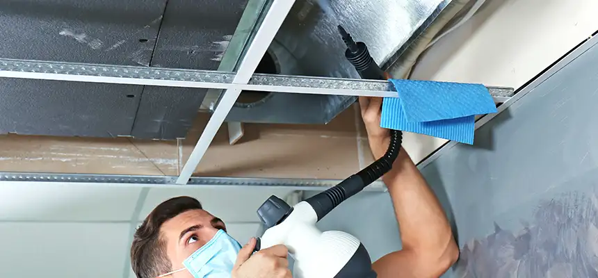Our Air Duct Rodent Removal Services in Beaver Dam, WI