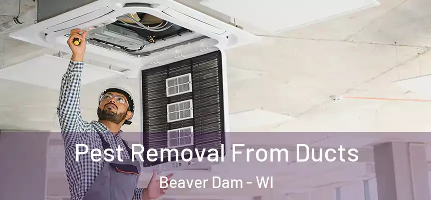  Pest Removal From Ducts Beaver Dam - WI