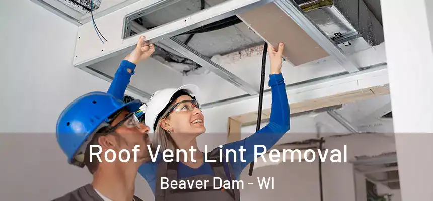  Roof Vent Lint Removal Beaver Dam - WI