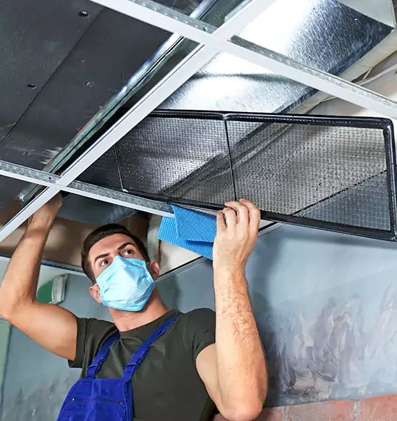 Professional Air Duct Pollen Cleaning in Beaver Dam, WI