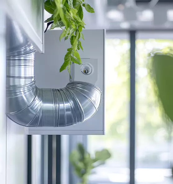 Professional Eco-Safe Dryer Vent Cleaning in Beaver Dam, WI