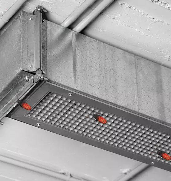 Affordable Insect Removal from Air Ducts in Beaver Dam, WI