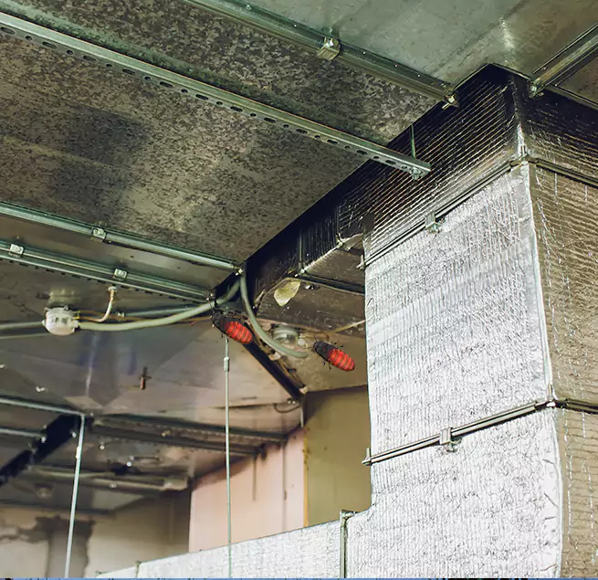 Why Homeowners & Businesses Trust Us in Beaver Dam, WI?