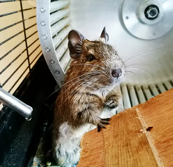 Why Homeowners & Businesses Trust Us Beaver Dam, WI