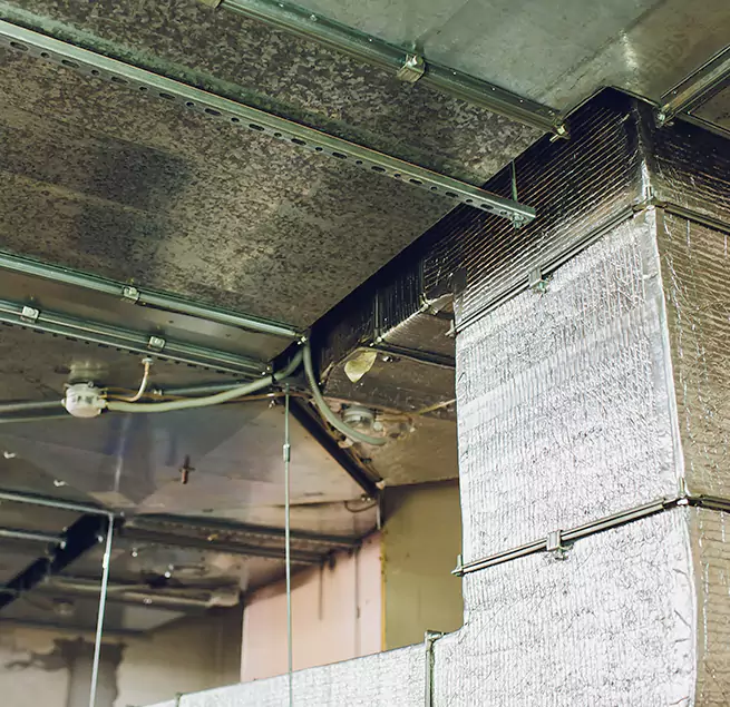 Why Homeowners & Businesses Trust Us in Beaver Dam, WI?